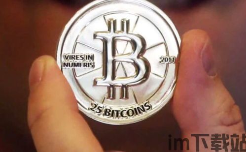 比特币CH,揭秘加密货币市场的波动与风险(图1) 比特币CH,揭秘加密货币市场的波动与风险(图1)