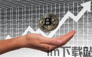 比特币CH,揭秘加密货币市场的波动与风险(图11) 比特币CH,揭秘加密货币市场的波动与风险(图11)