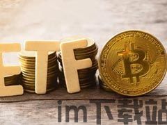 tp钱包提usdt到交易所多久,全程解析及时间预估(图4)