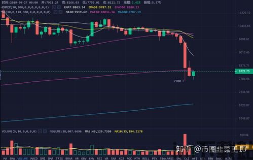 比特币减半一天可以吗(图2)