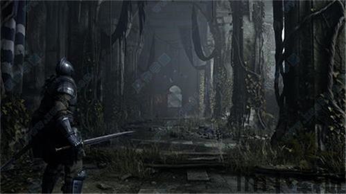 恶魔之魂!是什么游戏,什么是《恶魔之魂》?(图5) 恶魔之魂!是什么游戏,什么是《恶魔之魂》?(图5)