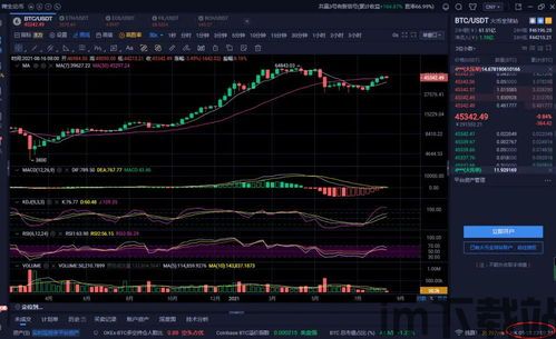 比特币未来几个月走势图,比特币未来几个月走势图分析(图4)