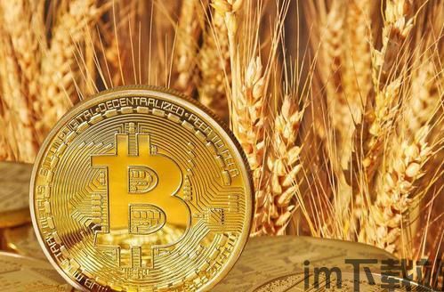 比特币四月份最高价,分析其背后的原因与未来展望(图4) 比特币四月份最高价,分析其背后的原因与未来展望(图4)