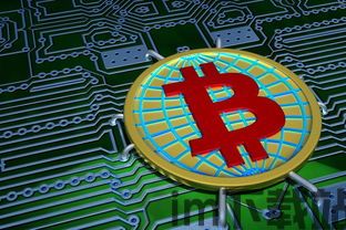 比特币被骗,揭秘比特币被骗案例(图4)