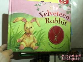 rabbit比特币(图5)