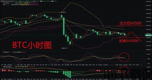 比特币9月8日行情分析,波动中寻求机遇(图3)