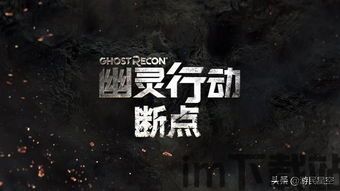 玩幽灵行动断点雪地花屏,幽灵行动断点雪地花屏问题解析及解决方法(图6) 玩幽灵行动断点雪地花屏,幽灵行动断点雪地花屏问题解析及解决方法(图6)
