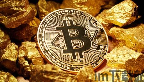 usdt 火币algo钱包,加密货币的便捷存储与交易(图5) usdt 火币algo钱包,加密货币的便捷存储与交易(图5)