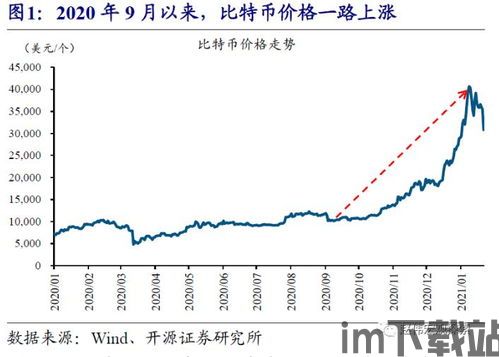 比特币能成为避险之王吗,比特币能否成为避险之王？(图1)