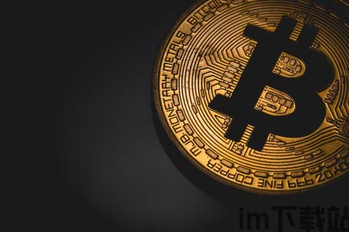 币圈子比特币,币圈动态与未来展望(图4) 币圈子比特币,币圈动态与未来展望(图4)