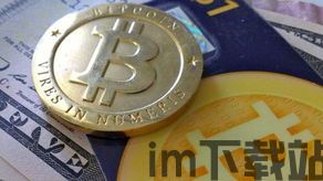 比特币bitcoin币,加密货币的先驱与未来展望(图4) 比特币bitcoin币,加密货币的先驱与未来展望(图4)