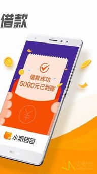 小狐狸钱包提币usdt,轻松掌握提币流程(图2) 小狐狸钱包提币usdt,轻松掌握提币流程(图2)