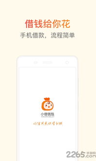 小狐狸钱包提币usdt,轻松掌握提币流程(图6) 小狐狸钱包提币usdt,轻松掌握提币流程(图6)