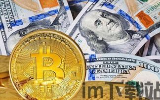 比特币钻石和比特币,两种加密货币的对比分析(图3)