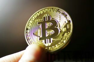 比特币钻石和比特币,两种加密货币的对比分析(图4)