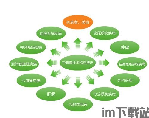 msc比特币,MSCTech视角下的数字货币未来(图6)