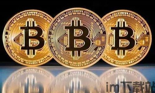 比特币野鸡币,投资风险与识别技巧(图2) 比特币野鸡币,投资风险与识别技巧(图2)