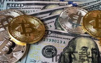 比特币野鸡币,投资风险与识别技巧(图13) 比特币野鸡币,投资风险与识别技巧(图13)