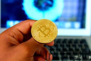 比特币野鸡币,投资风险与识别技巧(图15) 比特币野鸡币,投资风险与识别技巧(图15)