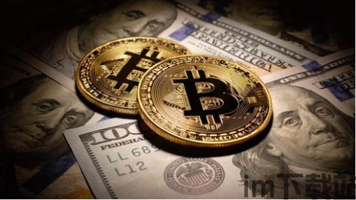 比特币野鸡币,投资风险与识别技巧(图17) 比特币野鸡币,投资风险与识别技巧(图17)