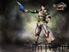 和真三国无双兄弟游戏叫什么,重温三国烽火,共战乱世英雄(图4) 和真三国无双兄弟游戏叫什么,重温三国烽火,共战乱世英雄(图4)