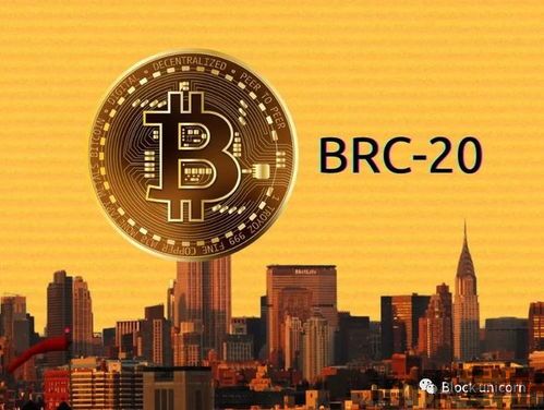 brc币 比特币,什么是BRC币?(图1) brc币 比特币,什么是BRC币?(图1)