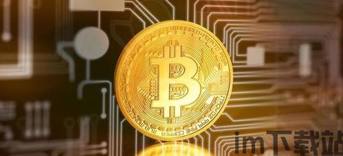 brc币 比特币,什么是BRC币?(图7) brc币 比特币,什么是BRC币?(图7)