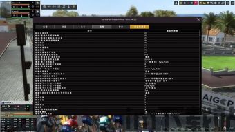职业自行车经理2019窗口化(图3)