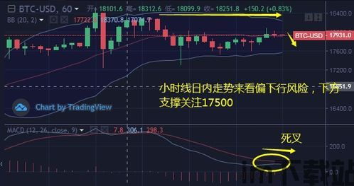 比特币最新底部预测图表,图表分析揭示未来走势(图7)