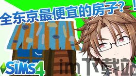 模拟人生4玩着玩着没声音,模拟人生4游戏中突然失去声音的解决方法(图2)