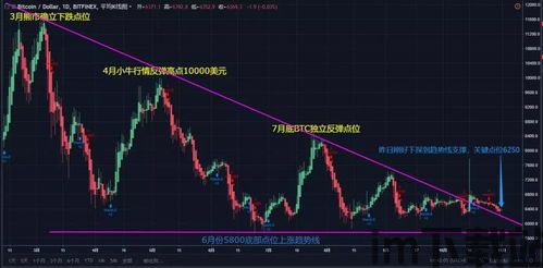 比特币实时走势分析图,解读市场动态与未来趋势(图3)