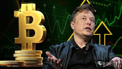 斯特拉与比特币,数字货币的融合与创新(图1) 斯特拉与比特币,数字货币的融合与创新(图1)