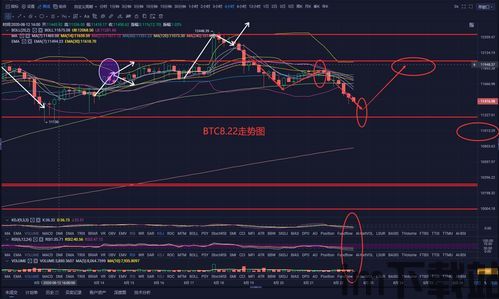 下一轮比特币行情走势,涓夊浗涓檵鍗楀寳鏈濈鎰忓浘(图4)