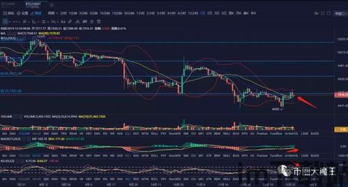 比特币双杀后市怎么走,多空博弈下的市场走向(图1)