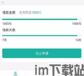 oopo钱包借钱110000还款怎么算的(图6)