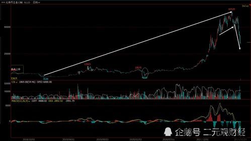比特币和黄金哪个下行,哪个资产面临下行风险?(图5) 比特币和黄金哪个下行,哪个资产面临下行风险?(图5)