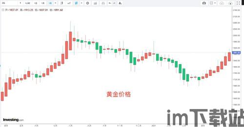 比特币和黄金哪个下行,哪个资产面临下行风险?(图6) 比特币和黄金哪个下行,哪个资产面临下行风险?(图6)