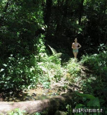 小树林发现比特币的小说(图6) 小树林发现比特币的小说(图6)