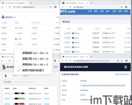比特币浏览器中文,了解区块链世界的窗口(图3)