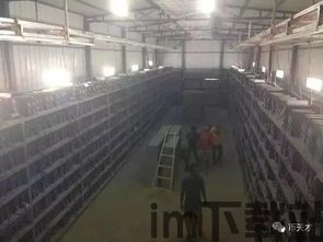 比特币矿场需要光纤吗,比特币矿场为何需要光纤?(图10) 比特币矿场需要光纤吗,比特币矿场为何需要光纤?(图10)