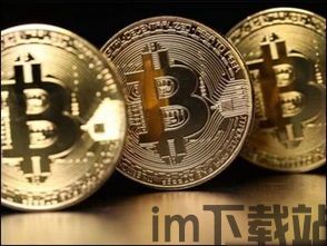 比特币开币,揭秘加密货币的诞生与未来(图3) 比特币开币,揭秘加密货币的诞生与未来(图3)