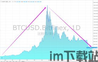 比特币算资产类别吗(图3)