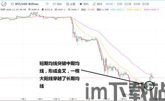 比特币后期价格走势图,趋势与预测(图5) 比特币后期价格走势图,趋势与预测(图5)