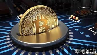 两会比特币暴跌,两会期间比特币暴跌,市场波动引发关注(图11) 两会比特币暴跌,两会期间比特币暴跌,市场波动引发关注(图11)