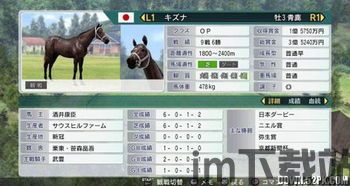 赛马大亨8怎么看版本号,赛马大亨8版本号查看指南(图2) 赛马大亨8怎么看版本号,赛马大亨8版本号查看指南(图2)