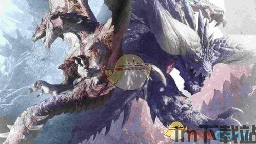 怪物猎人世界033_0200,新手入门必看技巧(图5) 怪物猎人世界033_0200,新手入门必看技巧(图5)