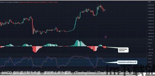 alex比特币分析师,Alex比特币分析师的视角与预测(图2)