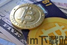 比特币退出真实性,比特币退出真实性的探讨(图3) 比特币退出真实性,比特币退出真实性的探讨(图3)