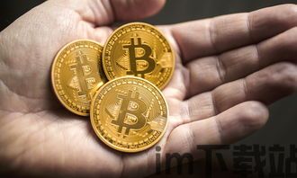 囤比特币唯有比特币,囤比特币,唯有比特币——财富自由的独特路径(图5) 囤比特币唯有比特币,囤比特币,唯有比特币——财富自由的独特路径(图5)