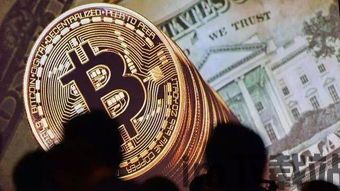 比特币赢家怎么样,揭秘加密货币市场的成功投资者(图5) 比特币赢家怎么样,揭秘加密货币市场的成功投资者(图5)